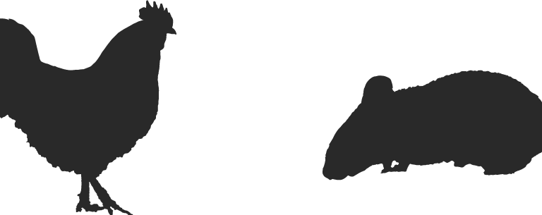 クイズを解き、経験値を得ると脳力レベルが進化